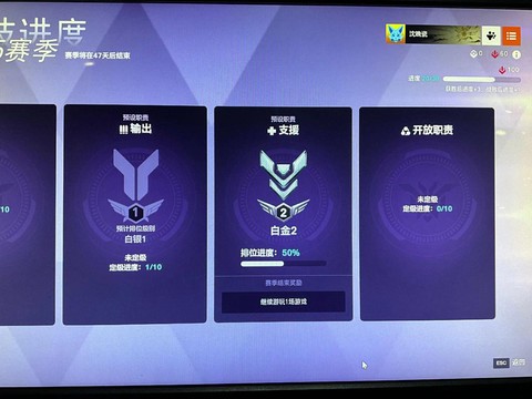 守望先锋铂金什么水平[图1]