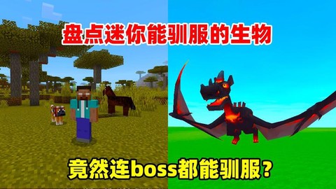 迷你世界可以驯服什么[图2]