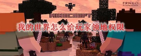 我的世界领地权限怎么给别人[图2]