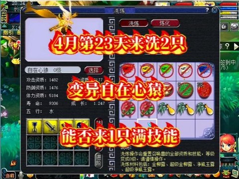 神武怎么洗变异宝宝[图1]