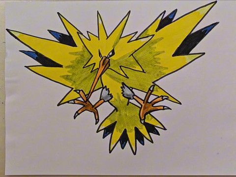 怎么画神奇宝贝闪电鸟[图2]