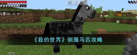 我的世界黑马怎么驯服[图1]